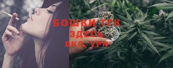стафф Дмитровск