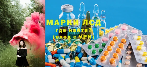 стафф Дмитровск