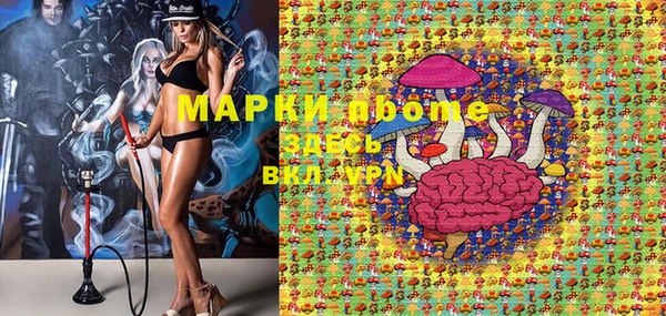стафф Дмитровск