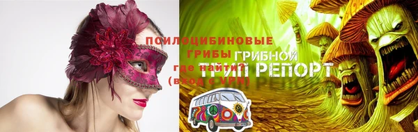 стафф Дмитровск